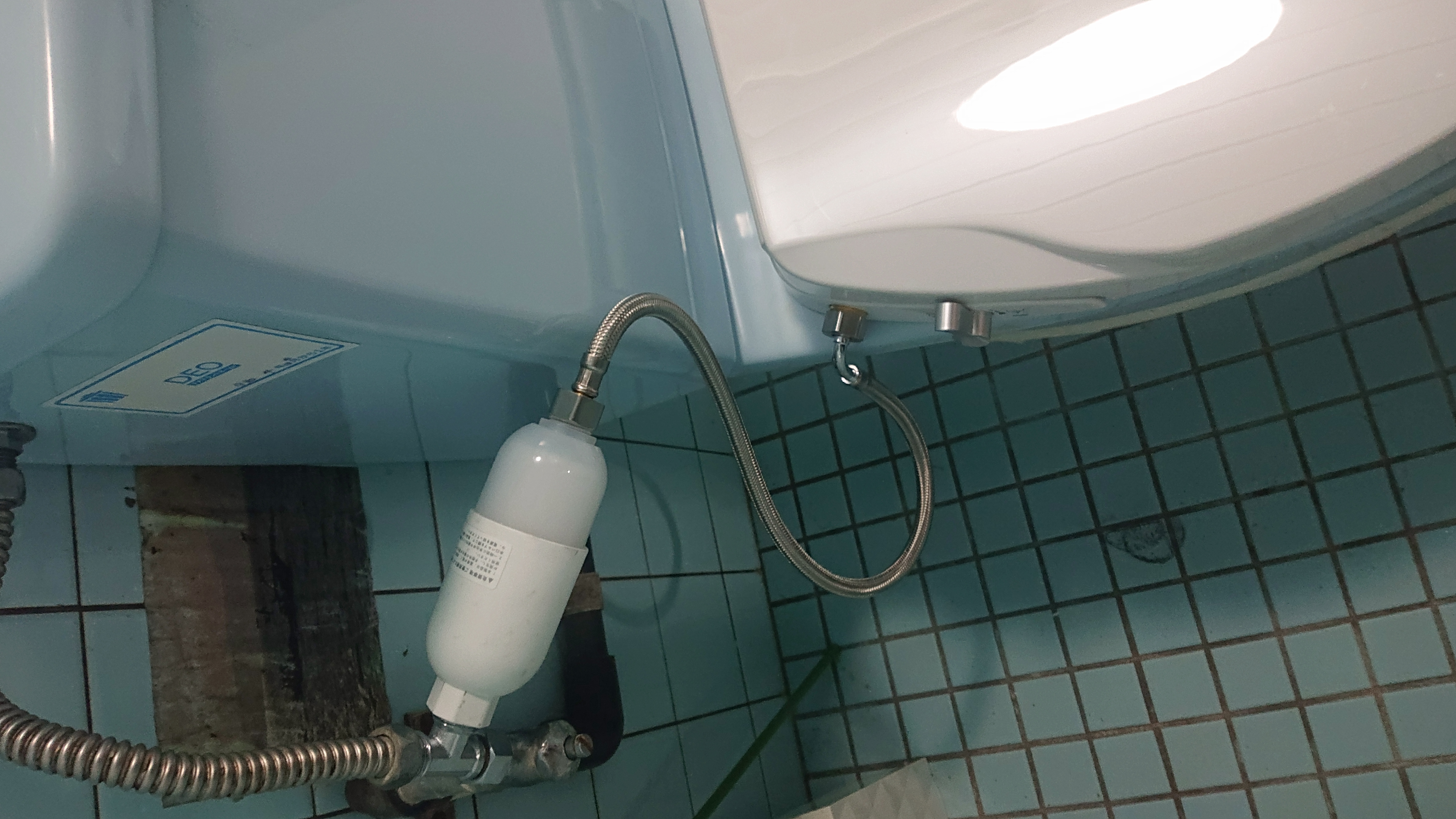 ホースもすっきりしていますの画像